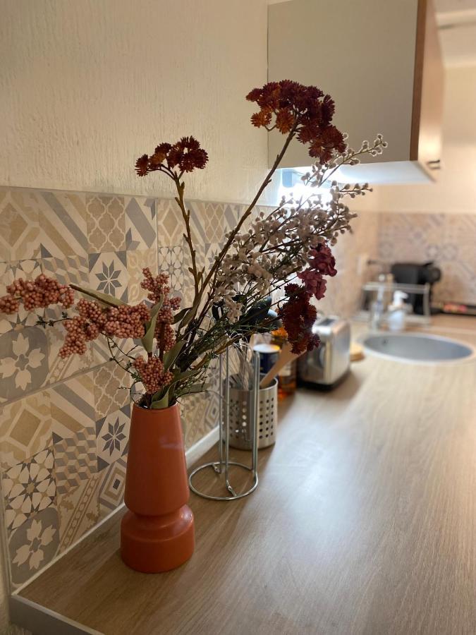 Appartement Les Cosy De Nancy - Le Duplex Vintage 4* Extérieur photo